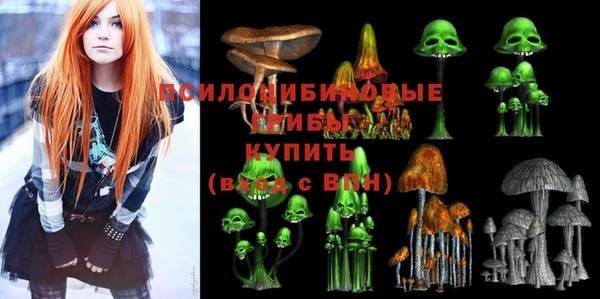 синтетический гашиш Алексин
